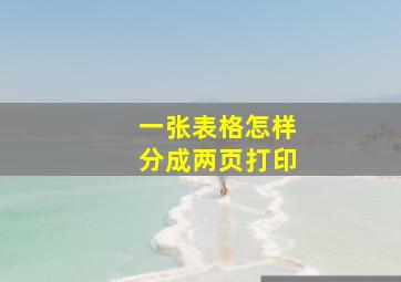 一张表格怎样分成两页打印