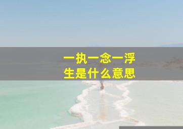 一执一念一浮生是什么意思