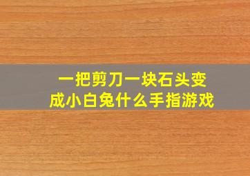 一把剪刀一块石头变成小白兔什么手指游戏