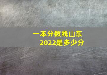 一本分数线山东2022是多少分