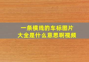 一条横线的车标图片大全是什么意思啊视频