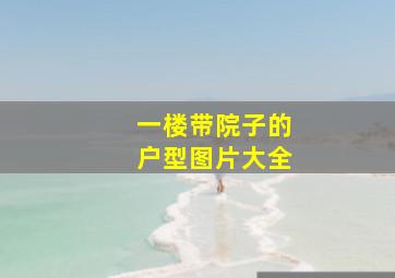 一楼带院子的户型图片大全