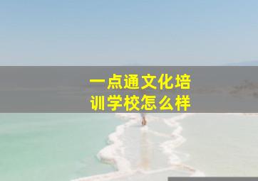 一点通文化培训学校怎么样