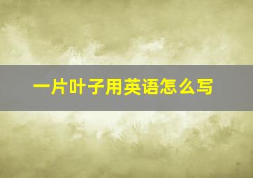 一片叶子用英语怎么写