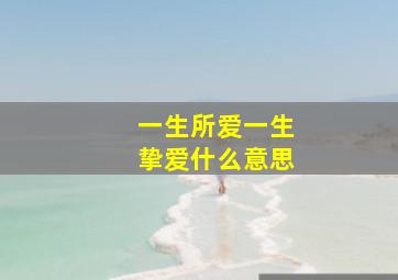 一生所爱一生挚爱什么意思