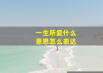 一生所爱什么意思怎么表达