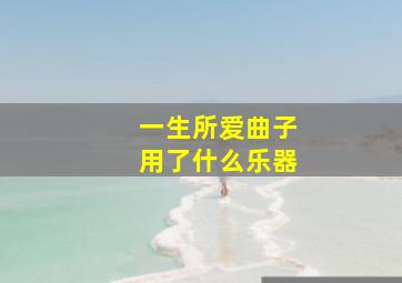 一生所爱曲子用了什么乐器