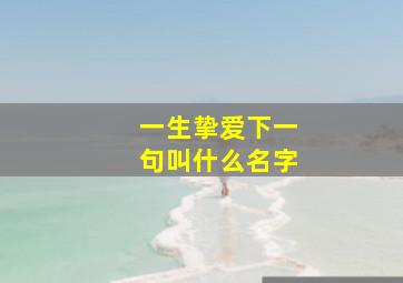 一生挚爱下一句叫什么名字