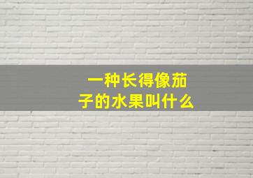 一种长得像茄子的水果叫什么