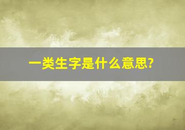 一类生字是什么意思?