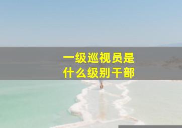 一级巡视员是什么级别干部