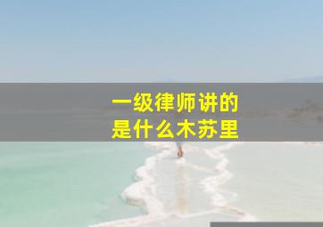 一级律师讲的是什么木苏里