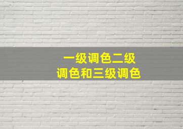 一级调色二级调色和三级调色