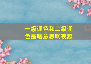 一级调色和二级调色是啥意思啊视频