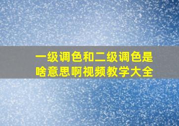 一级调色和二级调色是啥意思啊视频教学大全