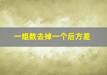 一组数去掉一个后方差