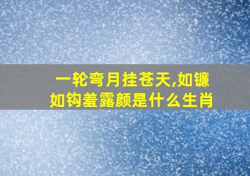 一轮弯月挂苍天,如镰如钩羞露颜是什么生肖