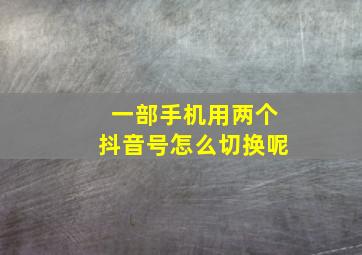 一部手机用两个抖音号怎么切换呢