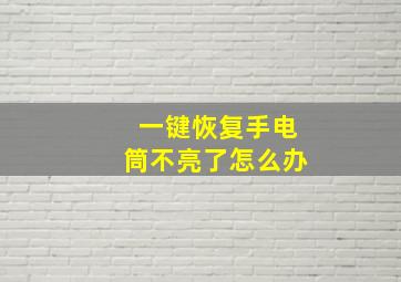 一键恢复手电筒不亮了怎么办