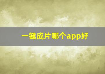 一键成片哪个app好