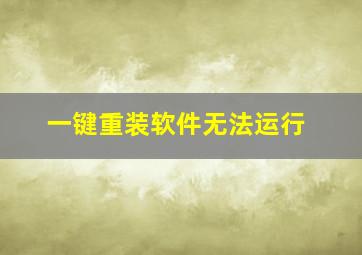 一键重装软件无法运行