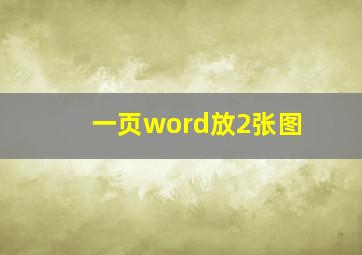 一页word放2张图