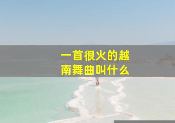 一首很火的越南舞曲叫什么