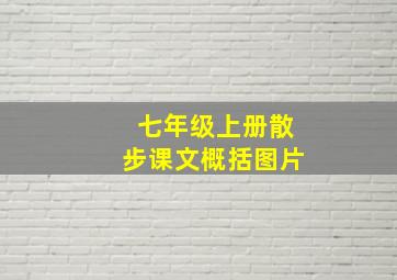 七年级上册散步课文概括图片