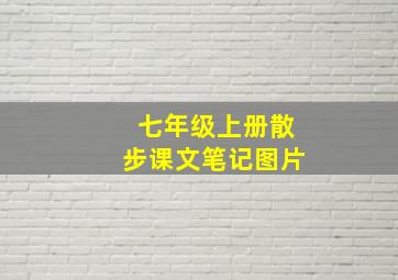 七年级上册散步课文笔记图片