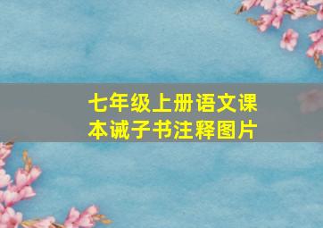 七年级上册语文课本诫子书注释图片