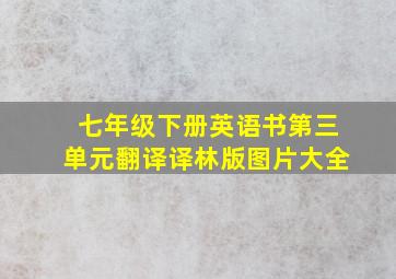 七年级下册英语书第三单元翻译译林版图片大全