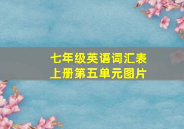 七年级英语词汇表上册第五单元图片