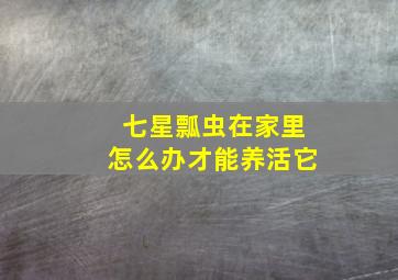 七星瓢虫在家里怎么办才能养活它