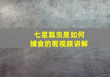 七星瓢虫是如何捕食的呢视频讲解