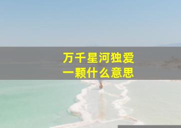 万千星河独爱一颗什么意思