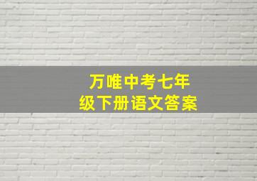 万唯中考七年级下册语文答案