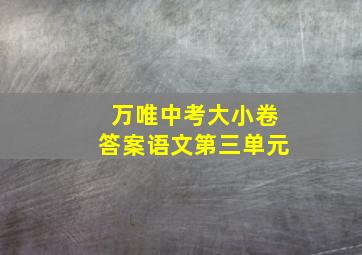 万唯中考大小卷答案语文第三单元