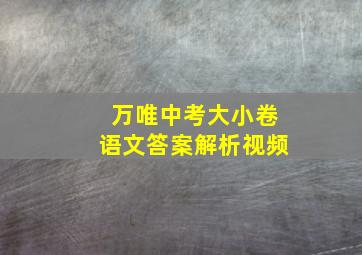 万唯中考大小卷语文答案解析视频