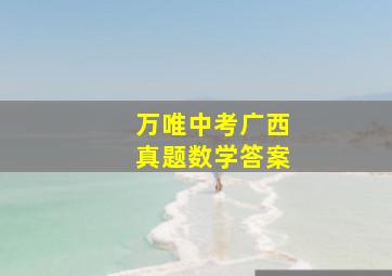 万唯中考广西真题数学答案