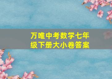 万唯中考数学七年级下册大小卷答案