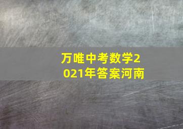 万唯中考数学2021年答案河南