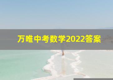 万唯中考数学2022答案