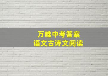 万唯中考答案语文古诗文阅读