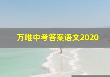 万唯中考答案语文2020