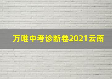 万唯中考诊断卷2021云南