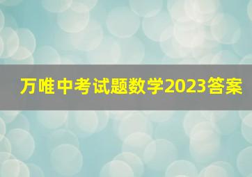 万唯中考试题数学2023答案