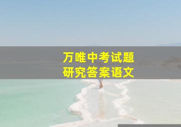 万唯中考试题研究答案语文