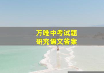 万唯中考试题研究语文答案