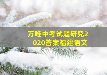 万唯中考试题研究2020答案福建语文