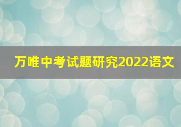 万唯中考试题研究2022语文